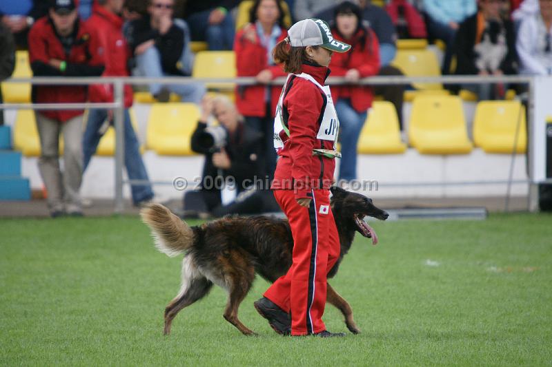 Akita von der Lilienwiese483.JPG